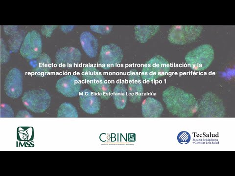 Efecto de la hidralazina en los patrones de metilación y la reprogramación de células mononucleares de sangre periférica de pacientes con diabetes de tipo 1