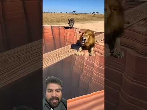 Smart Appliances! New Gadgets, Versatile Utensils, Tool Items #shorts#gadgets