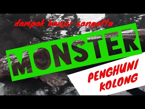 Penampakan Monster Kolong