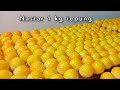 Resep Kue Nastar 1 Kg Tepung Anti Retak Lembut Lumer Di Mulut