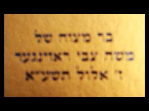 בר מצוה של משה צבי ראזינגער ני'ו - with Motty Ilowitz & Shimmy Engel Part 1