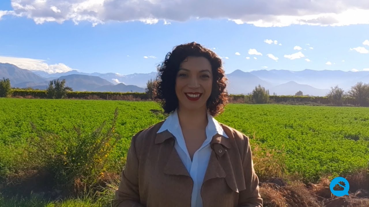 youtube video id=CeADZV6NXKM