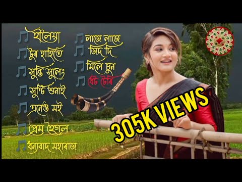 Assamese New hit songs 2023 collections (top 11 best songs)