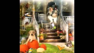 Kiddy kiddy kiss me.wmv