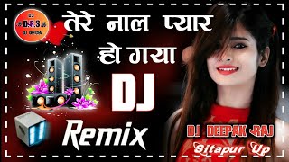 Tere Naal Pyaar Ho Gaya💞Dj Remix 💞Love Remix