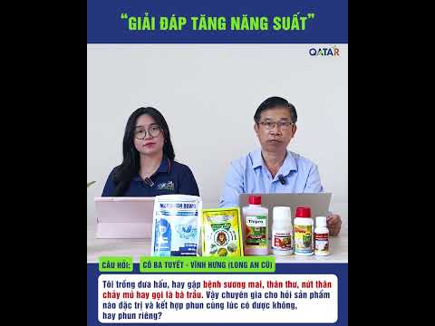 Giải đáp tăng năng suất số 3
