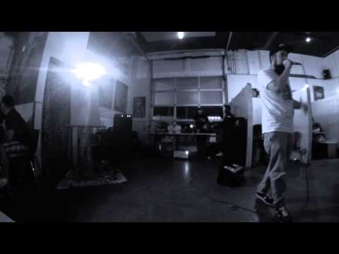 Jivin Scientists Live at Wells Park