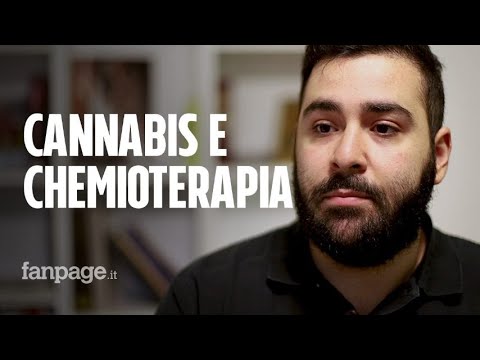 "Ho superato la chemio con la cannabis. A Salvini cosa dico? Solo di studiare". La storia di Andrea