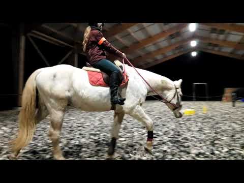 Essai Pivo 3 - 14-12-2020