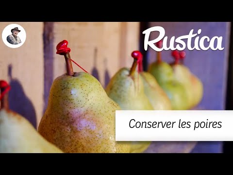 Récolter et conserver les poires