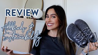 Allbirds Review: My Thoughts on the Wool Runners and Sustainable Company