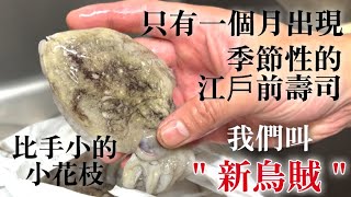 【剛開始叫新烏賊】本來花枝,但小小的時候味道完全不一樣,只有夏天的一個月才會出現,也是有魅力的江戶前壽司,解釋處理方法跟小故事