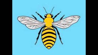 Help Stamp Out Loneliness - My Window