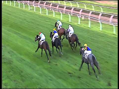 Galoppo 09/03/2016 - 1° corsa