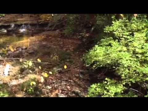 Cincinnati Nature Center Walk 10/18/12