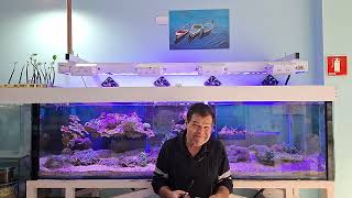 Compatibilidade Entre as Espécies - Aquashow - 347