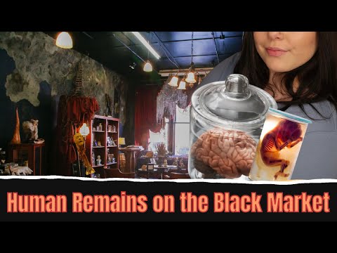 Human Remains Sold On the Black Market | (🌧  Sounds) True Crime ASMR