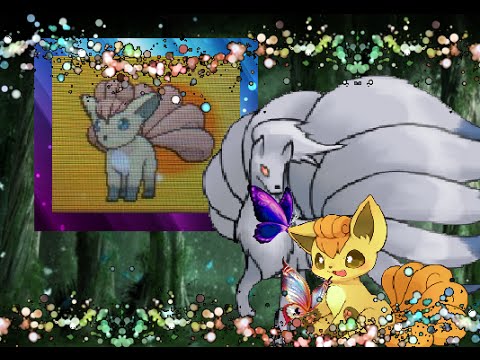 (LIVE) Pokemon Alpha Sapphire: Shiny Vulpix after 1,647 Eggs (Twin Race + Evolution)