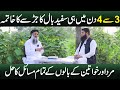 Hair Black Karne Ka Tarika White Balo Ko Black Karne Ka Tarika Hair Color At Home Dr Sharafat Ali