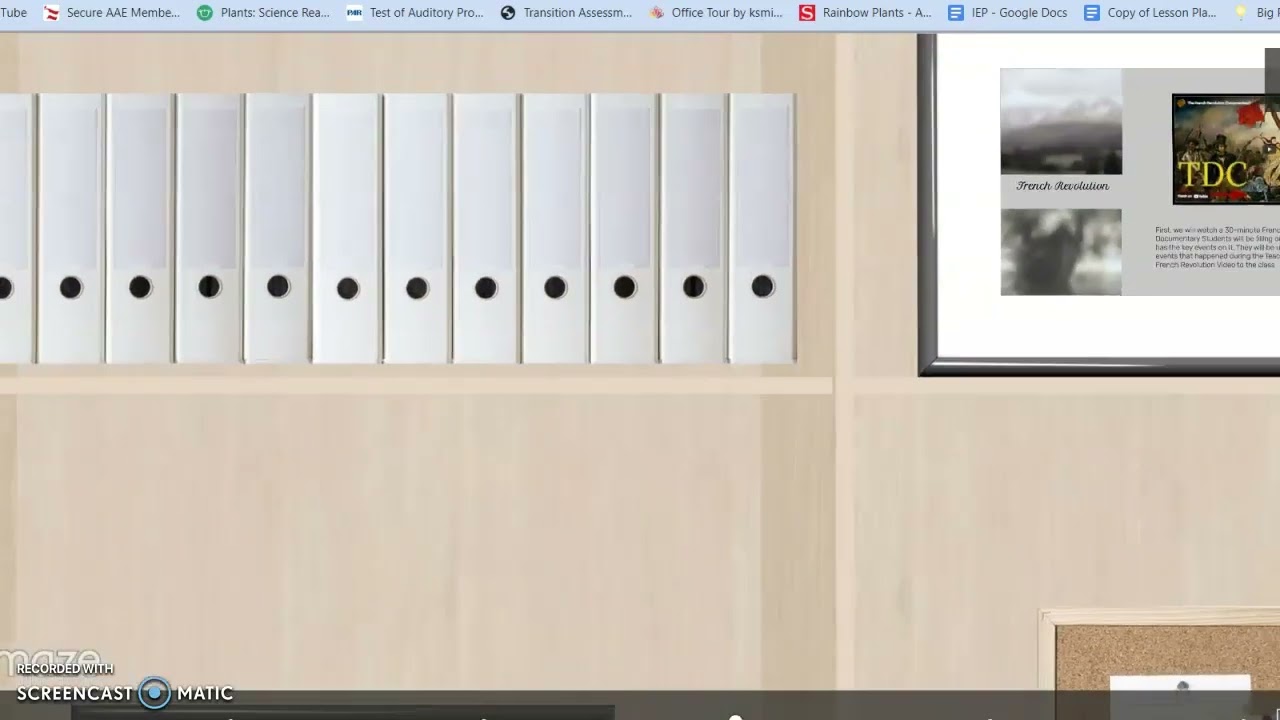 French Revolution UDL Lesson Plan