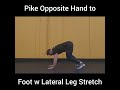 Pike Opposite Hand To Foot With Lateral Leg Stretch