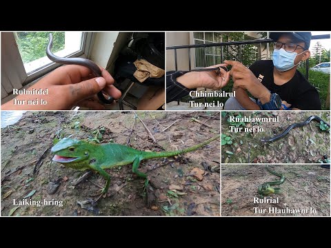 Rulmitdel, Rulrial, Ruahlawm-rul, Laiking-hring, leh Chhimbal-rul