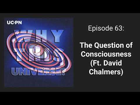 63 - The Question of Consciousness (Ft. David Chalmers) | Why This Universe