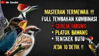 Download lagu NGERIII..!!!MASTERAN FULL TEMBAKAN KOMBINASI GEREJA TARUNG, PLATUK BAWANG, TENGKEK BUTO !! mp3