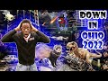 YUNGLIMABEAN OHIO COMPILATION ALL 2022 VIDEOS