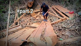 Download lagu Kayu ulin part2 drama kayu tumbang ke tebing miring dan berbatu mp3