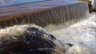 preview picture of video 'Lower River Dam Pembroke Maine'