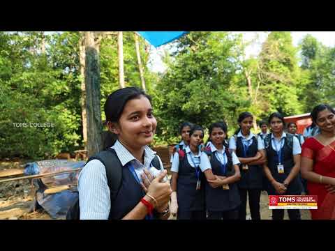 Civil Engineering, Kottayam