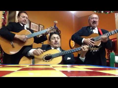Promotional video thumbnail 5 for Trio Jalisco