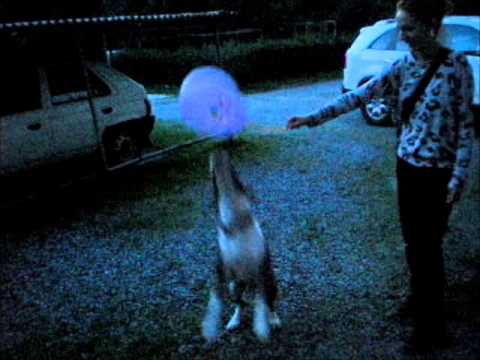 Muerta Mente - Friday afternoon in Alabama