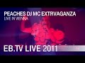 Peaches DJ MC Extrvaganza in Vienna (06.10.2011 ...