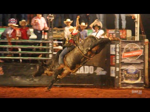 Colorado Rodeo 2018 - SATURDAY / BEST BULL RIDING