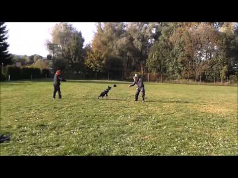 Grace z Jukasu podzimní výcvikový tábor Hranice 2013