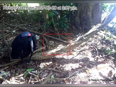 Jesus saved me from Death දේව දයාවේ පාද නමස්කාරය අතරතුරේ දී ජේසුස් වහන්සේ මාගේ ජීවිතය බේරාගත් මොහොත