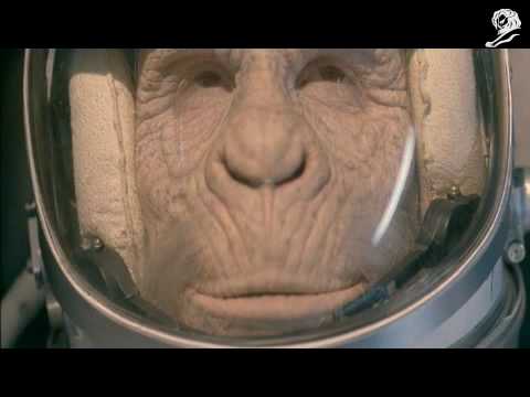 65年ぶりに帰ってきた、宇宙サル / WWF「MONKEY」