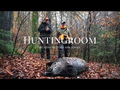 Drückjagden in Deutschland (2019)