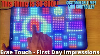 Video thumbnail for Erae Touch - UNIQUE and PROGRAMMABLE MPE MIDI Controller by Embodme by Scott Uhl