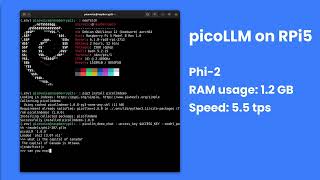 Running a Local LLM with picoLLM on Raspberry Pi 5