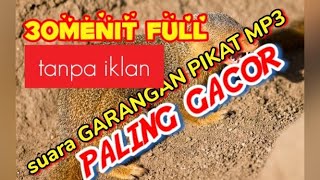 Download lagu suara GARANGAN PIKAT MP3 || paling gacor 30 menit full tanpa iklan mp3 Download lagu suara GARANGAN PIKAT MP3 || paling gacor 30 menit full tanpa iklan mp3