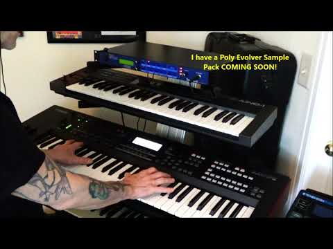 Dave Smith Poly Evolver Rack Super Analog Power Hybrid Synthesizer Rik Marston