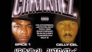 CRIMINALZ-PUTTIN WORK