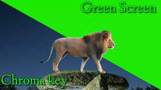 Download lagu Green screen singa || green screen lion ||  freen download link di deskripsi mp3