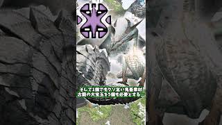 三天を超える最高製作難易度だが裏がある阿武祖龍弩【MHP2g】