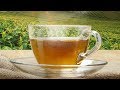 3 Teas You Should Be Drinking And 3 You Shouldn't