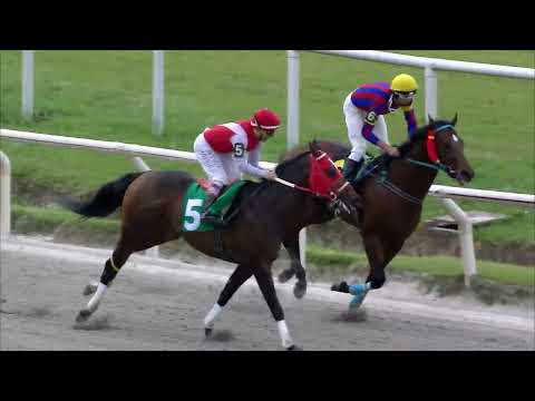 221112 c01 ANGLOSAJON