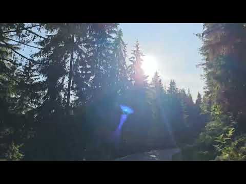 Transursoaia DN1R - 22.06.2025